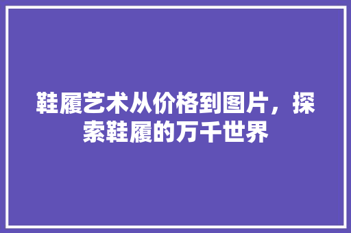 鞋履艺术从价格到图片，探索鞋履的万千世界