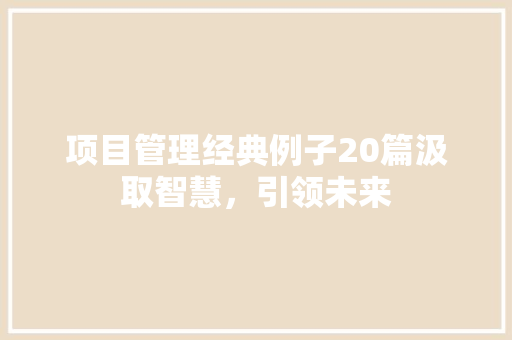 项目管理经典例子20篇汲取智慧，引领未来