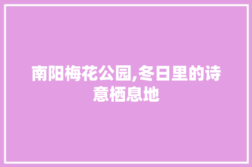 南阳梅花公园,冬日里的诗意栖息地