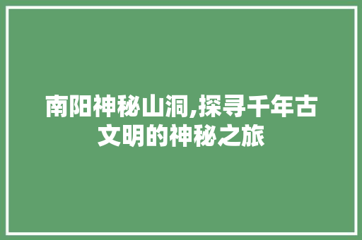 南阳神秘山洞,探寻千年古文明的神秘之旅