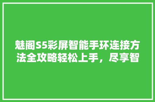 魅阁S5彩屏智能手环连接方法全攻略轻松上手，尽享智能生活