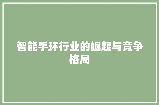 智能手环行业的崛起与竞争格局  第1张