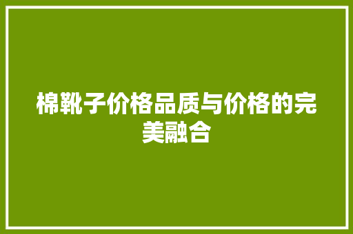 棉靴子价格品质与价格的完美融合  第1张