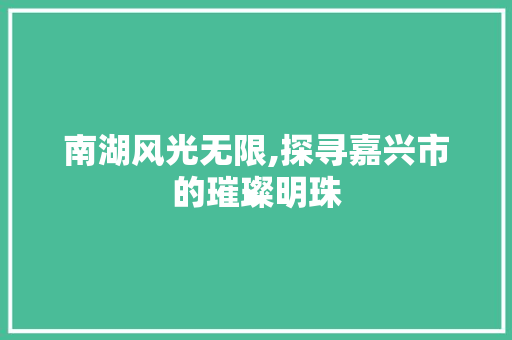 南湖风光无限,探寻嘉兴市的璀璨明珠