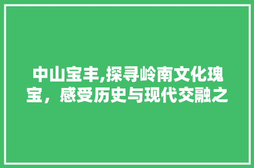 中山宝丰,探寻岭南文化瑰宝，感受历史与现代交融之美  第1张