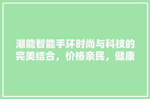 潮能智能手环时尚与科技的完美结合，价格亲民，健康管理新选择  第1张