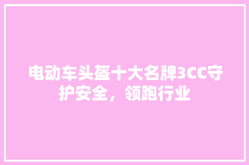 电动车头盔十大名牌3CC守护安全，领跑行业  第1张