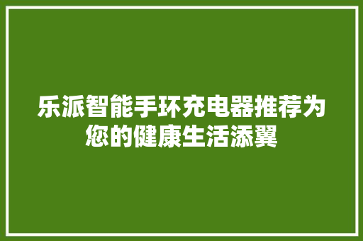 乐派智能手环充电器推荐为您的健康生活添翼  第1张