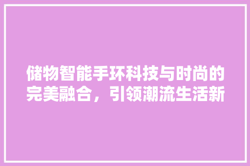 储物智能手环科技与时尚的完美融合，引领潮流生活新风尚  第1张