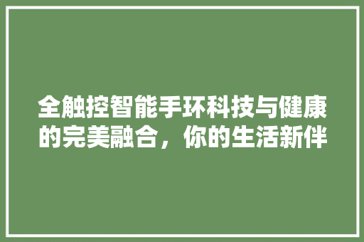 全触控智能手环科技与健康的完美融合，你的生活新伴侣