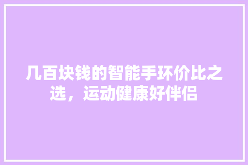 几百块钱的智能手环价比之选，运动健康好伴侣