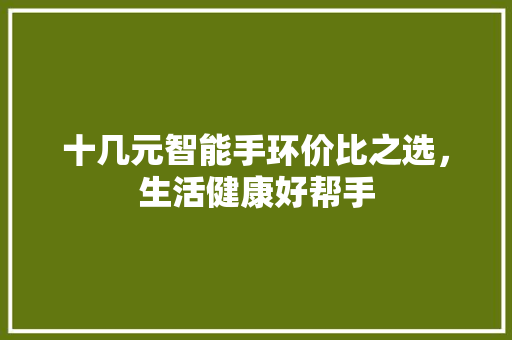 十几元智能手环价比之选，生活健康好帮手