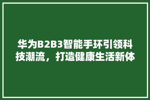 华为B2B3智能手环引领科技潮流，打造健康生活新体验  第1张