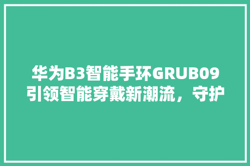 华为B3智能手环GRUB09引领智能穿戴新潮流，守护健康生活  第1张