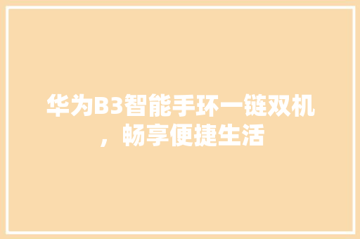 华为B3智能手环一链双机，畅享便捷生活