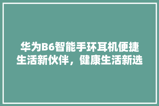 华为B6智能手环耳机便捷生活新伙伴，健康生活新选择