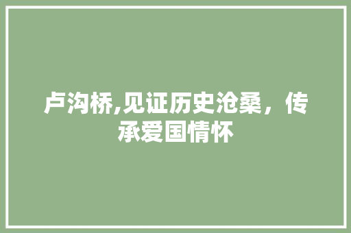 卢沟桥,见证历史沧桑，传承爱国情怀  第1张