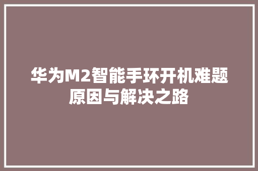 华为M2智能手环开机难题原因与解决之路