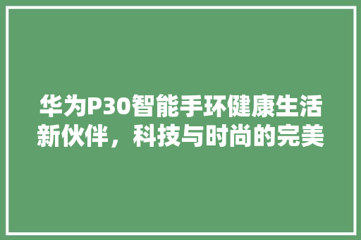 华为P30智能手环健康生活新伙伴，科技与时尚的完美融合