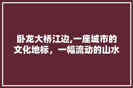 卧龙大桥江边,一座城市的文化地标，一幅流动的山水画卷