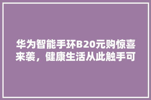 华为智能手环B20元购惊喜来袭，健康生活从此触手可及