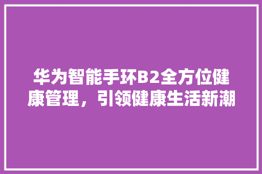 华为智能手环B2全方位健康管理，引领健康生活新潮流  第1张