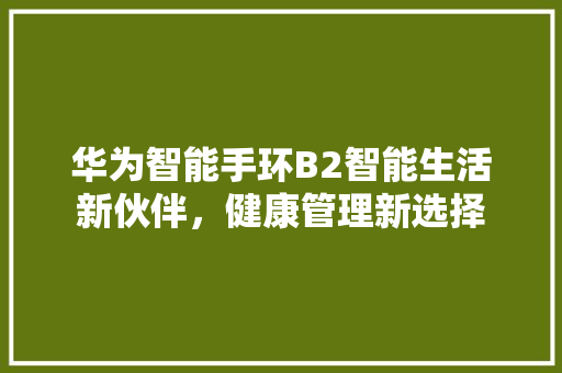 华为智能手环B2智能生活新伙伴，健康管理新选择