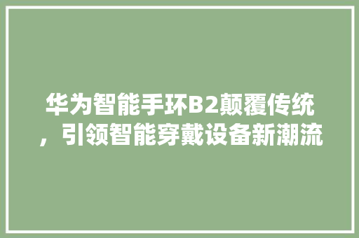 华为智能手环B2颠覆传统，引领智能穿戴设备新潮流