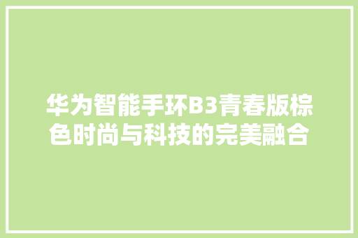 华为智能手环B3青春版棕色时尚与科技的完美融合  第1张