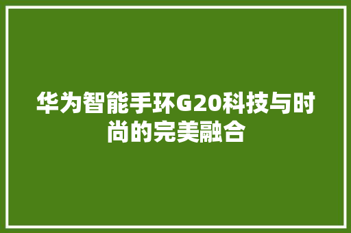 华为智能手环G20科技与时尚的完美融合  第1张