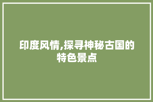 印度风情,探寻神秘古国的特色景点