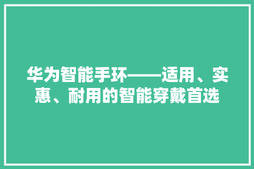 华为智能手环——适用、实惠、耐用的智能穿戴首选  第1张