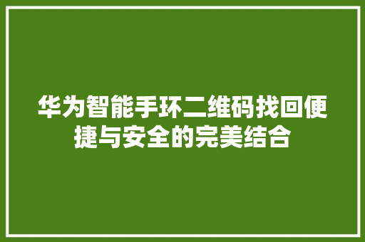 华为智能手环二维码找回便捷与安全的完美结合  第1张