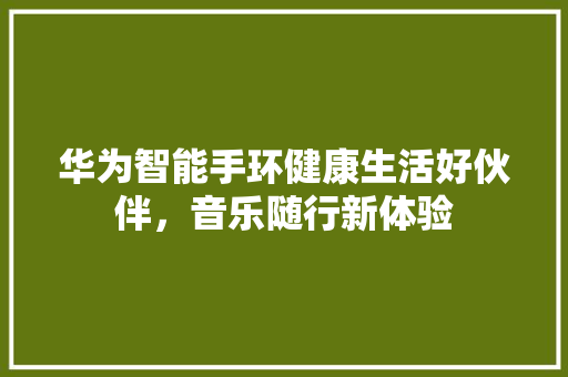 华为智能手环健康生活好伙伴，音乐随行新体验