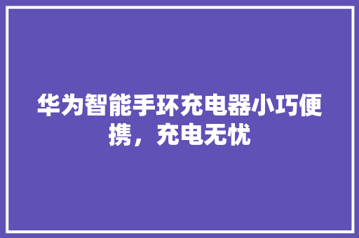 华为智能手环充电器小巧便携，充电无忧