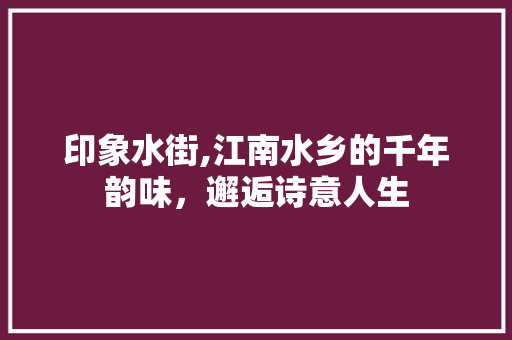 印象水街,江南水乡的千年韵味，邂逅诗意人生