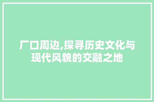 厂口周边,探寻历史文化与现代风貌的交融之地