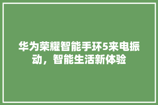 华为荣耀智能手环5来电振动，智能生活新体验