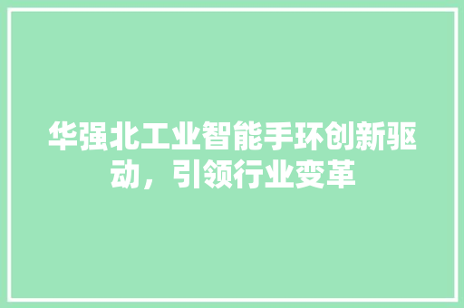 华强北工业智能手环创新驱动，引领行业变革