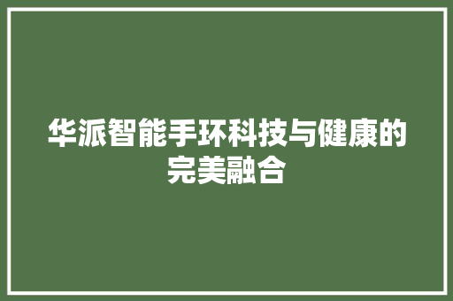 华派智能手环科技与健康的完美融合