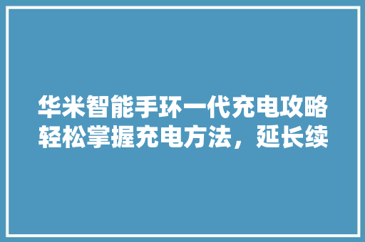 华米智能手环一代充电攻略轻松掌握充电方法，延长续航时间