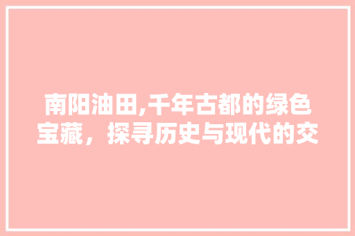 南阳油田,千年古都的绿色宝藏，探寻历史与现代的交融之旅