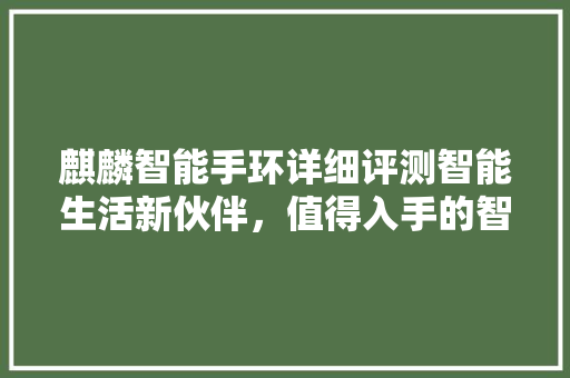 麒麟智能手环详细评测智能生活新伙伴，值得入手的智能穿戴设备