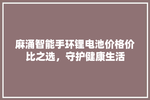 麻涌智能手环锂电池价格价比之选，守护健康生活