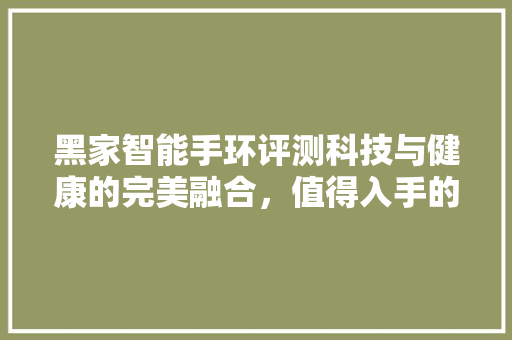 黑家智能手环评测科技与健康的完美融合，值得入手的智能穿戴设备