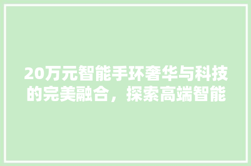 20万元智能手环奢华与科技的完美融合，探索高端智能穿戴新境界