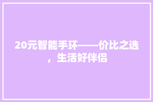 20元智能手环——价比之选，生活好伴侣