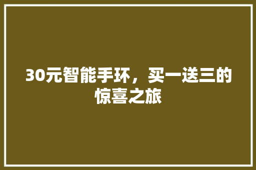 30元智能手环，买一送三的惊喜之旅