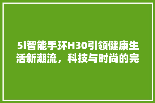 5i智能手环H30引领健康生活新潮流，科技与时尚的完美结合