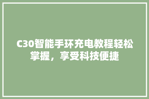 C30智能手环充电教程轻松掌握，享受科技便捷